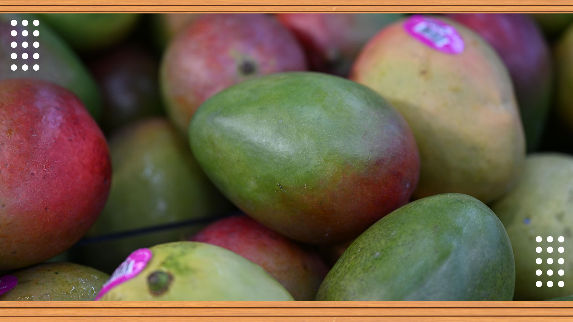 Los Mangos de Florida: La Razón para Visitar El Bodegón #3 en Abril