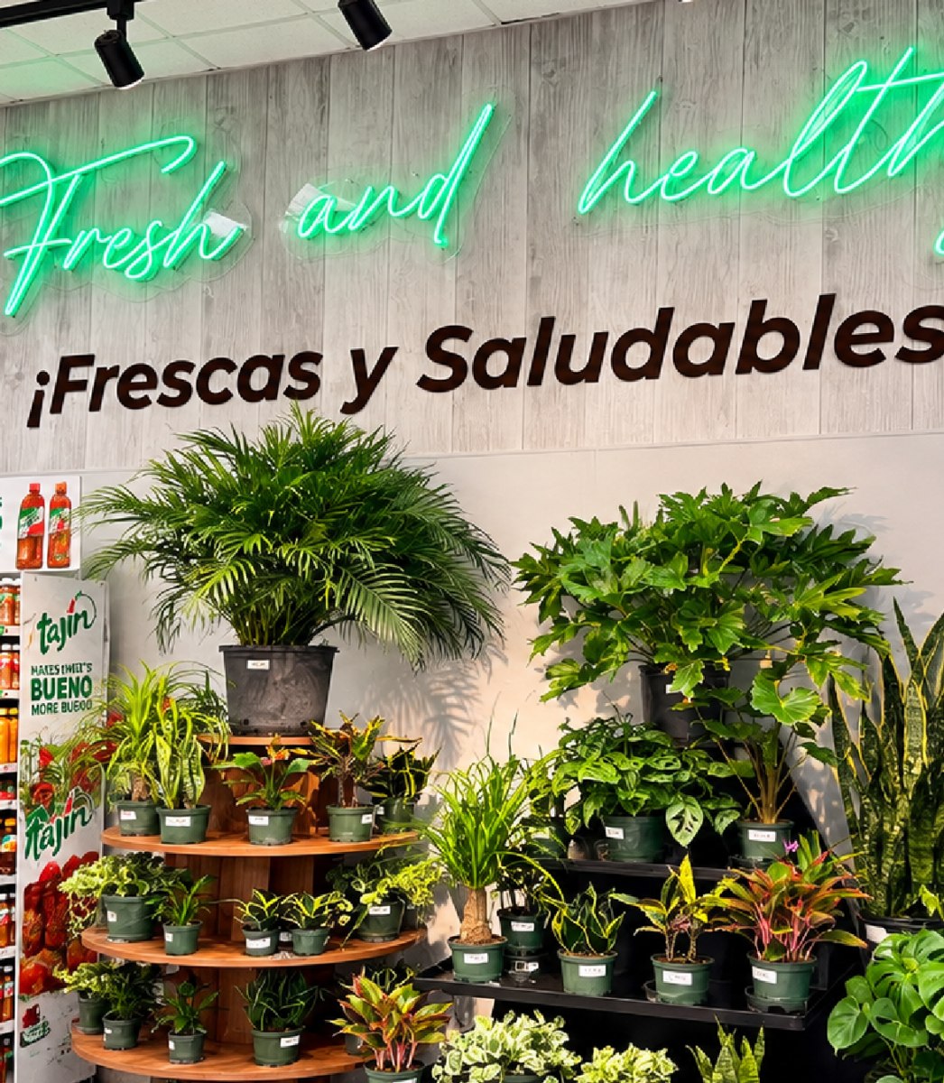 EL BODEGÓN LAKE WORTH BEACH B#5 - FRUTAS Y VERDURAS